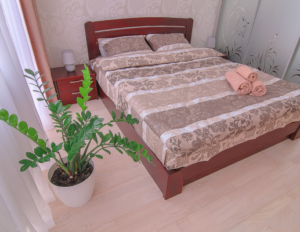 1к. квартира Квартира на Оболонской Набережной