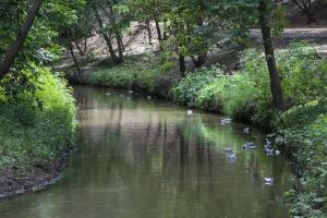 Река "Почайна"