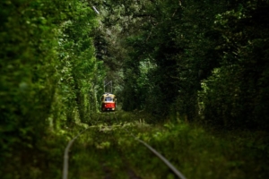 Парк "Пуща-Водица"